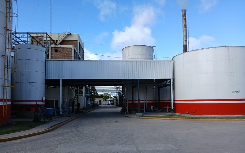 seda p.i.c.s.a portada interna corregida